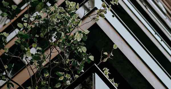 户外灯光宣传片制作方案